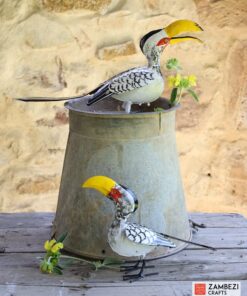 African Hornbill Painted