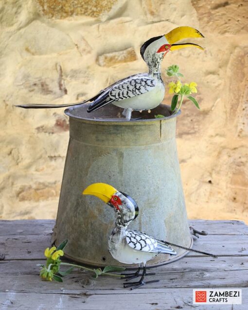 African Hornbill Painted