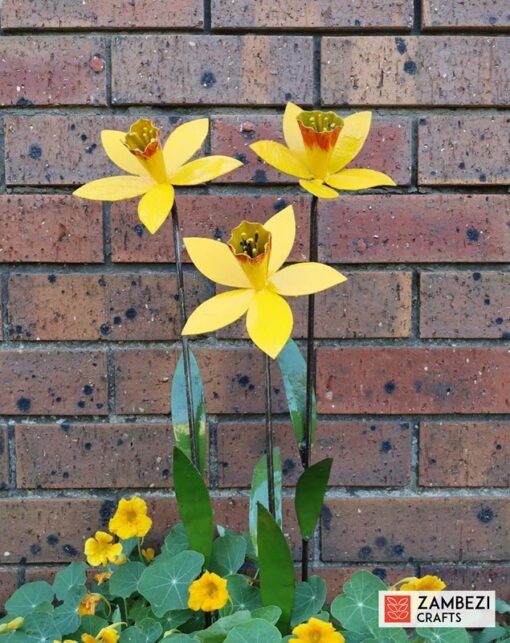 Daffodils recycled metal