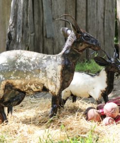 recycled metal goats