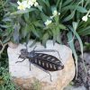 recycled metal grasshopper