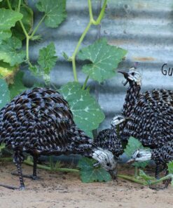 recycled metal guinea fowl