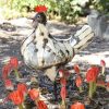 recycled metal hen