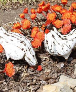 recycled metal hens
