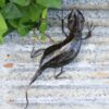 recycled metal Agama lizard
