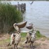 recycled metal pelicans