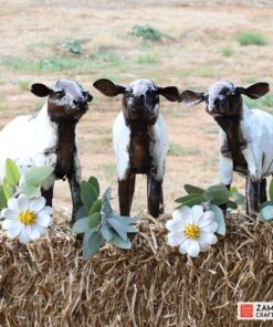 recycled metal sheep