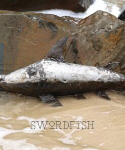 recycled metal swordfish